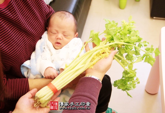 剃胎毛、滿月剃頭、嬰兒剃頭、嬰兒理髮、嬰兒剃髮、嬰兒剃胎毛、嬰兒滿月剃頭、寶寶剃頭、剃胎毛儀式、剃胎毛吉祥話、滿月剃頭儀式、滿月剃頭吉祥話、寶寶剃胎毛、寶寶滿月剃頭理髮、 新北三重區剃胎毛、新北三重區滿月剃頭、 新北三重區嬰兒剃頭剃胎毛、新北三重區嬰兒理髮、新北三重區嬰兒剃髮、謝寶寶(新北三重區到府嬰兒寶寶滿月剃頭理髮、免費到府嬰兒剃胎毛儀式吉祥話)。到府剃頭剃胎毛主持、專業拍照、DVD光碟、證書。★購買「臍帶章、肚臍章、胎毛筆刷印章」贈送：剃頭、收涎、抓周，三選一。2016.01.10 照片11